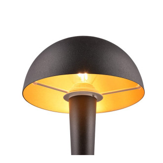 Stojací lampa REALITY CANARIA černá kov R59561180