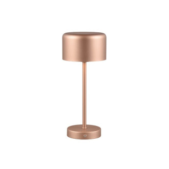 Stojací lampa REALITY JEFF kávová kov R59151165