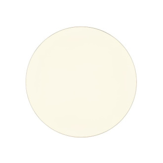 Stropní osvětlení REALITY BLANCA bílá plast R64141101