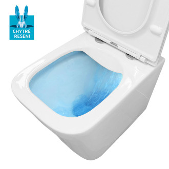 Mereo WC závěsné kapotované, RIMLESS, 490x340x350, keramické, vč. sedátka