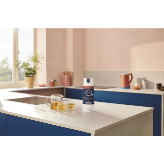 Filtr Grohe Blue 40876000