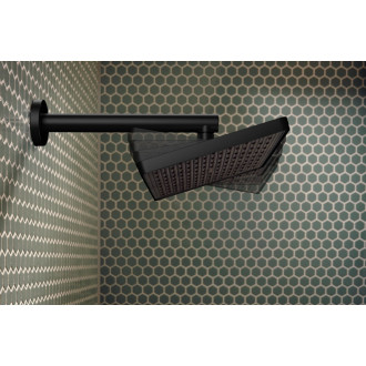 Hlavová sprcha Hansgrohe Activera Q matná černá 28738670