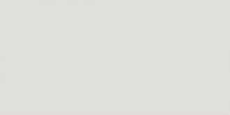 EVOLUTION obklad Gris Claro Brillo 7,5x15 (EQ-0) (0,5m2) 20898