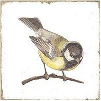 FORLI obklad Birds Decor Mix 15x15 FOL015