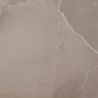 PASSION LUX 60 dlažba Taupe 60x60 (1,08m2) 0NZH000