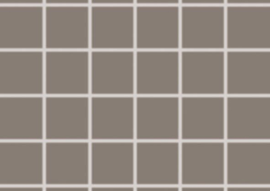 TAURUS COLOR